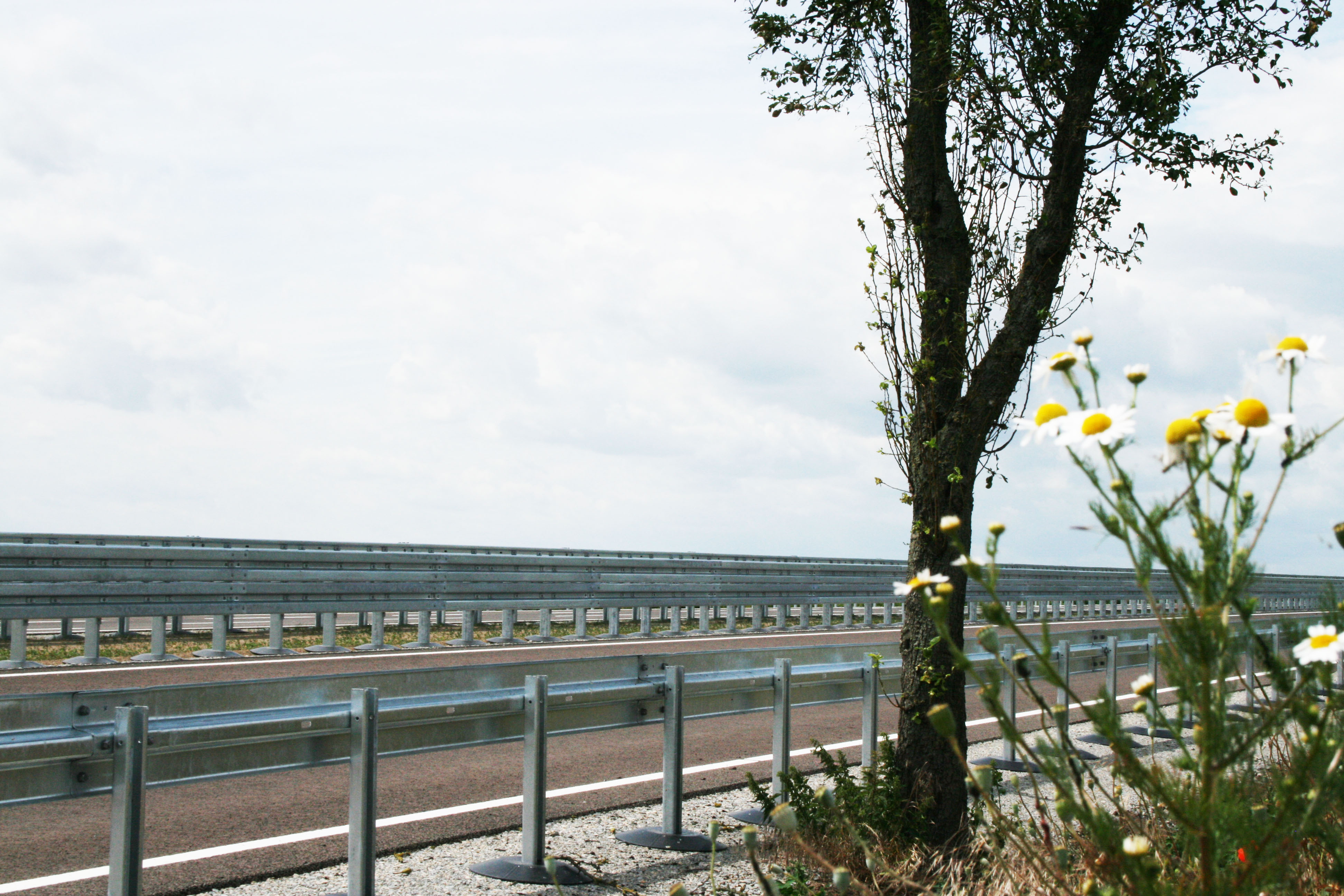 environment on the side of a highway with guardrails