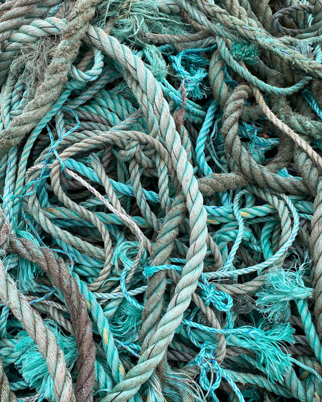 PP/PE ropes from Norwegian aquaculture and fisheries are transformed into valuable plastic granules / Photo: Oceanize.