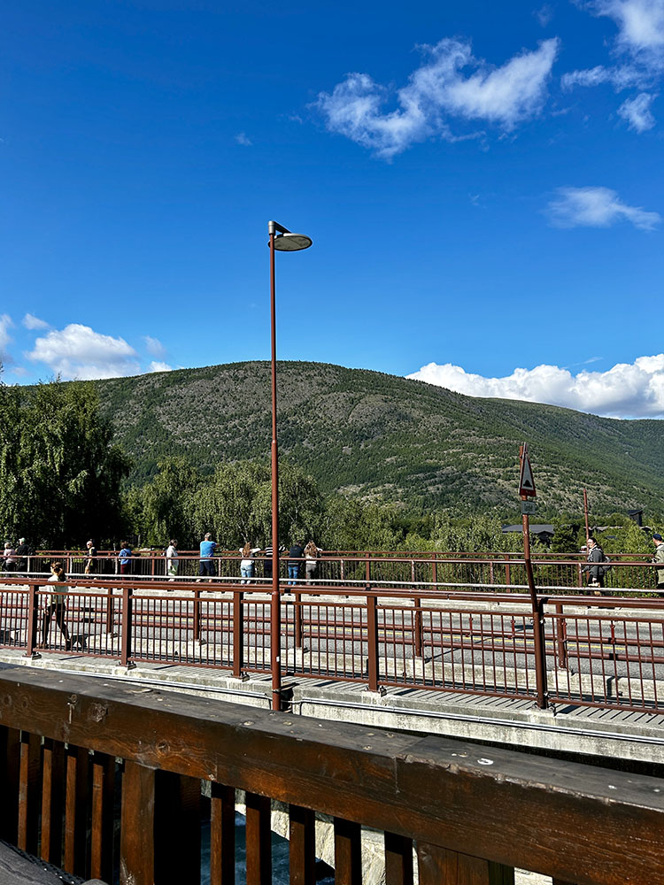 Brown-painted light poles that match the town’s visual profile. Photo: Sunniva Osdal / Vik Ørsta