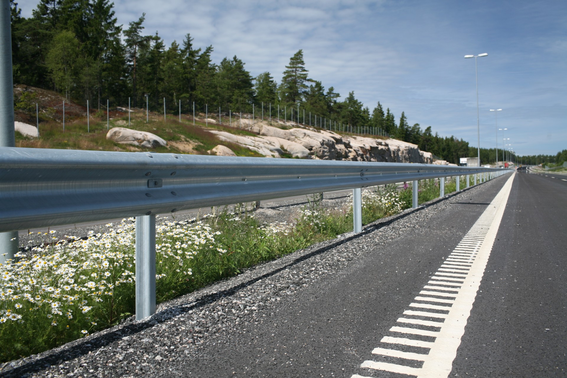 Veiskinner langs vei